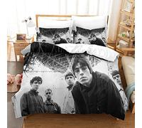 Kuokuo Oasis Band 3D Printed Duvet Cover Set Brushed Microfibre Soft Quilt Covers Easy Care Hotel Quality Bedding Sets Set with Zipper Closure 3 Pieces Set Double（200x200cm）