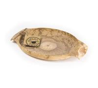 Kupilka Large Plate 44 Eco-friendly Bushcraft & Camping 440ml Brown