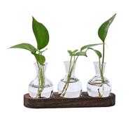 KUPOO Plant Propagation Station - Wooden Stand with Bulb Glass Vases, Ideal Planter Gift for Plant Lovers, Home & Office Decor