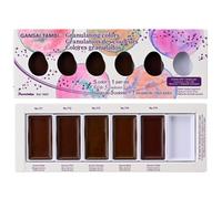 Kuretake Gansai Tambi Granulating Colors 5 colours Watercolour Paint Set 5 colours with 1 empty pan, Professional-Quality for Artists and Crafters,
