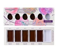 Kuretake Gansai Tambi Granulating Colors 5 colours Watercolour Paint Set 5 colours with 1 empty pan, Professional-Quality for Artists and Crafters, Non-Toxic, Made in Japan