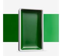 Kuretake : Gansai Tambi Japanese Watercolour : Large Pan : Hooker's Green