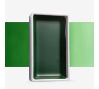 Kuretake : Gansai Tambi Japanese Watercolour : Large Pan : Sap Green Deep