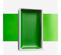 Kuretake : Gansai Tambi Japanese Watercolour : Large Pan : Sap Green Light