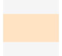 Kuretake : Zig : Kurecolor Twin WS Marker : Natural Beige (420)