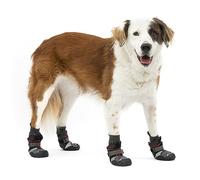 Trail shoes for dogs Kurgo Blaze (x2)