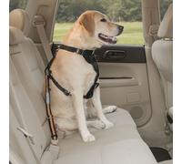 Kurgo Direct to Seatbelt Dog Tether - Black and Orange - Small
