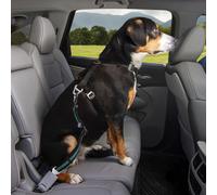 Kurgo Direct to Seatbelt Swivel Dog Tether - Black - Small
