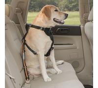 Kurgo Direct to Seat Belt Tether, Universal Car Seat Belt for Dogs, Works with any Pet Harness, Adjustable Length, Black/Orange