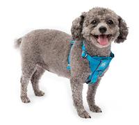 Kurgo Dog Harness | Pet Walking Harness | Car Harness for Dogs | Front D-Ring for No Pull Training | Includes Dog Seat Belt Tether | Tru-Fit Smart Harness | Blue | X-Small