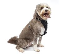 Kurgo Enhanced Strength Tru-Fit Dog Car Harness, Crash Tested, Steel Nesting Buckles, Includes Seatbelt Tether, Black, Large