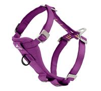 Kurgo Enhanced Strength Tru-Fit Dog Car Harness, Large, Deep Violet | Crash Test Certified, Five Point Adjustment, Secure Buckle, Padded Chest