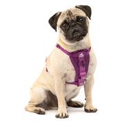 Kurgo Tru-Fit Smart Dog Walking Harness – Enhanced Strength – Purple Small