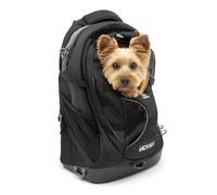 Kurgo G-Train K9 Pack - Small - Black Small