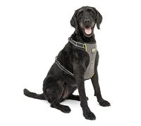 Kurgo Impact Dog Car Harness, Crash Tested, Integrates with Car Seatbelt System, Lightweight, Extra Large-Black/Charcoal Grey