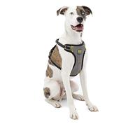 Kurgo Impact Dog Car Harness, Crash Tested, Integrates with Car Seatbelt System, Lightweight, Medium-Black/Charcoal Grey