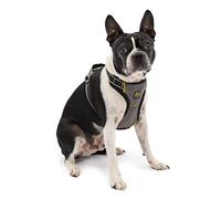 Kurgo Impact Seatbelt Dog Harness - Black - Small