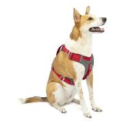 Kurgo Journey Air Dog Harness - Secure Fit for Active Dogs - Padded Chest - Lightweight Ripstop Fabric - Breathable Mesh - Reflective Trim - Back Assist Handle - Red - X-Large