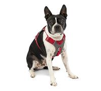 Kurgo Journey Air Dog Harness - Secure Fit for Active Dogs - Padded Chest - Lightweight Ripstop Fabric - Breathable Mesh - Reflective Trim - Back Assist Handle - Red - Small