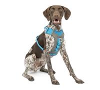 Kurgo Journey Air Dog Harness - Secure Fit for Active Dogs - Padded Chest - Lightweight Ripstop Fabric - Breathable Mesh - Reflective Trim - Back Assist Handle - Blue - Medium