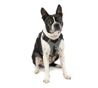 Kurgo Journey Air Dog Harness, Small, Black | Padded Chest, Lightweight Ripstop, Breathable Mesh, Reflective Trim, Back Assist Handle