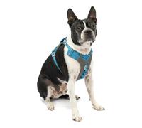 Kurgo Journey Air Dog Harness, Small, Coastal Blue | Padded Chest, Lightweight Ripstop, Breathable Mesh, Reflective Trim, Back Assist Handle