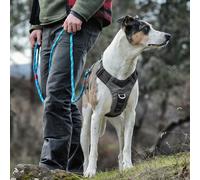 Kurgo Journey Air Harness