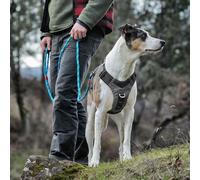 Kurgo Journey Air Harness