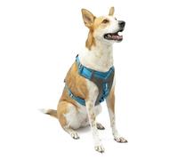 Kurgo Journey Air Harness, Dog Harness for Running and Walking, Lightweight, Breathable, Large-Blue