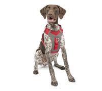 Kurgo Journey Air Harness, Dog Harness for Running and Walking, Lightweight, Breathable, Medium-Red