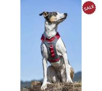 Kurgo Journey Air Harness Red