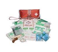 Kurgo Pet First Ait Kit - Single