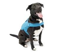 Kurgo RSG Dog Townie Harness, Easy On/Off Dog Hiking Harness, Adjustable, MOLLE Compatible, Extra Large-Coastal Blue