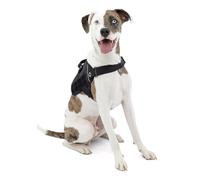 Kurgo RSG Dog Townie Harness, Easy On/Off Dog Hiking Harness, Adjustable, MOLLE Compatible, Medium-Black
