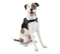Kurgo RSG Dog Townie Harness, Easy On/Off Dog Hiking Harness, Adjustable, MOLLE Compatible, Medium-Black