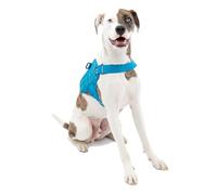 Kurgo RSG Dog Townie Harness, Easy On/Off Dog Hiking Harness, Adjustable, MOLLE Compatible, Medium-Coastal Blue