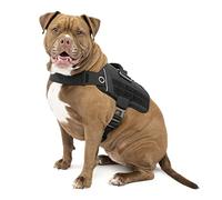 Kurgo RSG Dog Townie Harness, Easy On/Off Dog Hiking Harness, Adjustable, MOLLE Compatible, Extra Large-Black