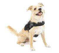 Kurgo RSG Dog Townie Harness - Easy On-Off for Quick Outings - Breathable Mesh - Molle-Compatible for Clip-On Accessories - Top Handle - Reflective Trim - Small - Black