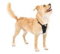 Kurgo Tru-Fit Enhanced Strength Dog Harness - Crash Tested Car Safety Harness for Dogs, No Pull Dog Harness, Includes Pet Safety Seat Belt (Black, Small)