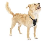 Kurgo Tru-Fit Enhanced Strength Dog Harness - Crash Tested Car Safety Harness for Dogs, No Pull Dog Harness, Includes Pet Safety Seat Belt (Black, Small)
