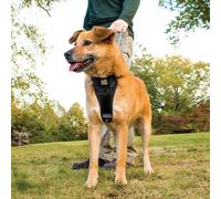 Kurgo Tru Fit Smart Dog Puppy Walking Quick Release Adjustable Travel Harness