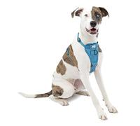Kurgo Tru-Fit Smart Harness, Dog Harness, Pet Walking Harness, Quick Release Buckles, Front D-Ring for No Pull Training, Includes Dog Seat Belt Tether (Blue, Medium)