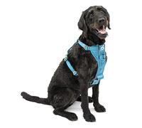 Kurgo Tru-Fit Smart Harness, Dog Harness, Pet Walking Harness, Quick Release Buckles, Front D-Ring for No Pull Training, includes Dog Seat Belt Tether (Blue, Large)