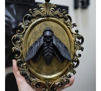 KURKUR Death Head Moth Wall Decor Sculpture,Black Gothic Wall Art,Vintage Skull Moth Wall Hanging Wall Plaque For Bedroom Living Room Office Home(Gold)