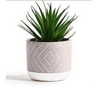 Kurrajong Farmhouse 8" x 4.5" Beautiful Fake Plant | Artificial Potted Plant Decor | Faux Artificial Succulent Plants Potted for Home Decor Indoor