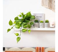 Kurrajong Farmhouse Dark Green Fake pothos | Fake Plant for Shelf Decor | Artificial Trailing Ivy Plant with 5" Wide Ceramic Pot | Realistic Faux pothos Plant for Floating Shelves
