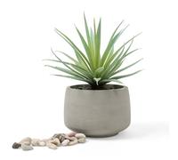 Kurrajong Farmhouse Gorgeous Life Like Soft Pale Green Artificial Plant in Rustic Pot, Set in Black Pebbles, Lovely feaux Plant in Pot, Faux Plant in Pot 7"x 4.5" Potted Plant for Mantle or Desk Decor