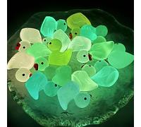 kurriuwu Small Duck Ornament Sure Here's A Product Title for Listing Mini Figurine Glow-in-the-dark Resin Little Tiny Animal Toy Miniature Statue Fairy Garden Mix Color 30PCS
