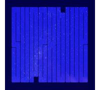 The Apartments - A Life Full Of Farewells (LP) [VINYL]