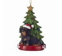 Kurt S. Adler Dachshund Sitting by Christmas Tree Ornament Pet Dog Animal Decoration C7954DA